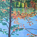 Crawford Lake ON